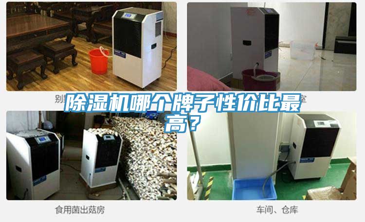 榴莲视频官网APP哪個牌子性價比最高？