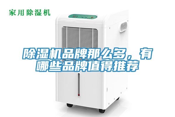 榴莲视频官网APP品牌那麽多，有哪些品牌值得推薦