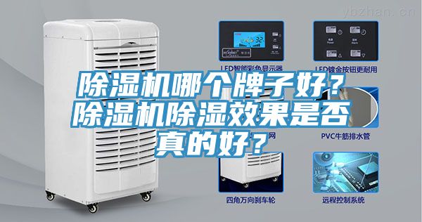 榴莲视频官网APP哪個牌子好？榴莲视频官网APP除濕效果是否真的好？