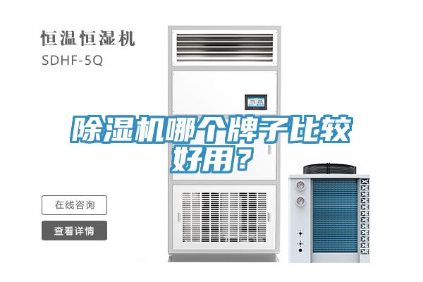榴莲视频官网APP哪個牌子比較好用？