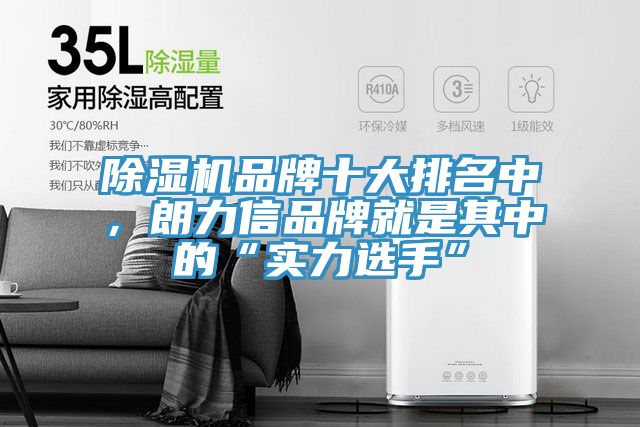 榴莲视频官网APP品牌十大排名中，朗力信品牌就是其中的“實力選手”