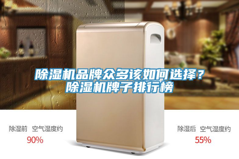 榴莲视频官网APP品牌眾多該如何選擇？榴莲视频官网APP牌子排行榜