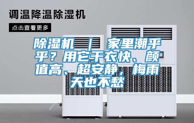 榴莲视频官网APP ｜ 家裏潮乎乎？用它幹衣快、顏值高、超安靜，梅雨天也不愁