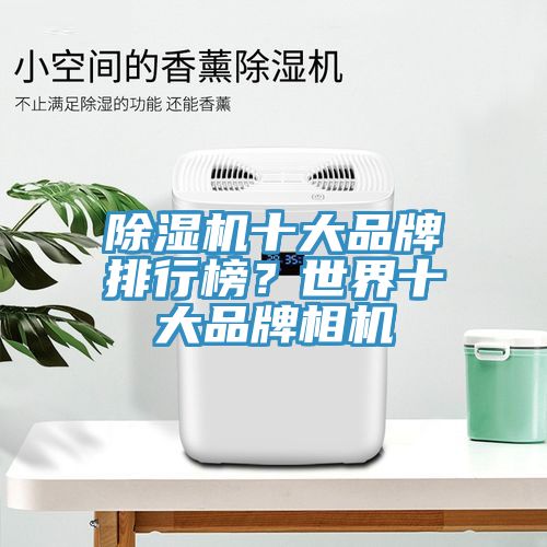 榴莲视频官网APP十大品牌排行榜？世界十大品牌相機