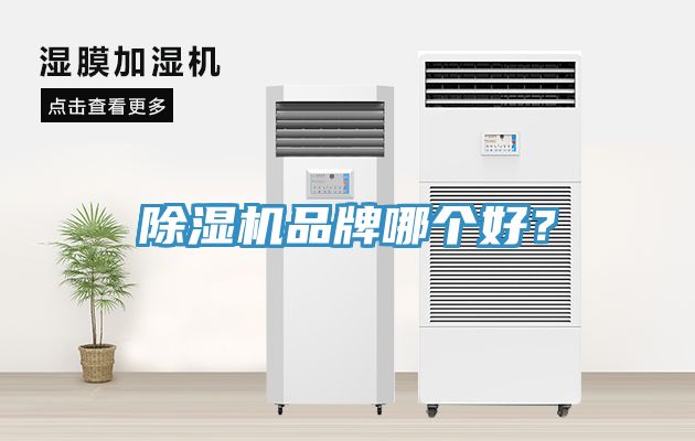 榴莲视频官网APP品牌哪個好？