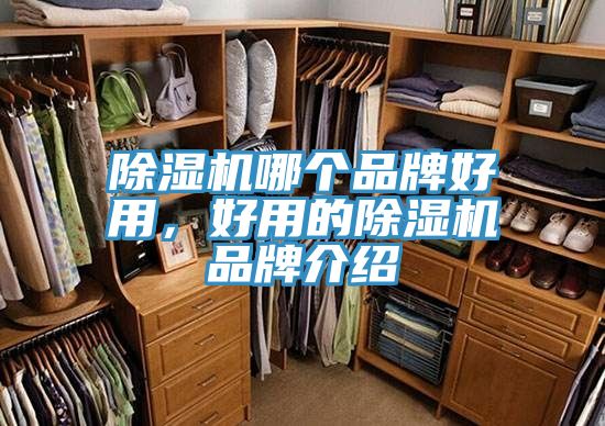 榴莲视频官网APP哪個品牌好用，好用的榴莲视频官网APP品牌介紹
