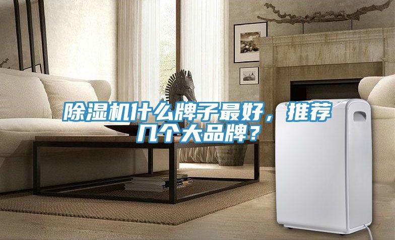 榴莲视频官网APP什麽牌子最好，推薦幾個大品牌？