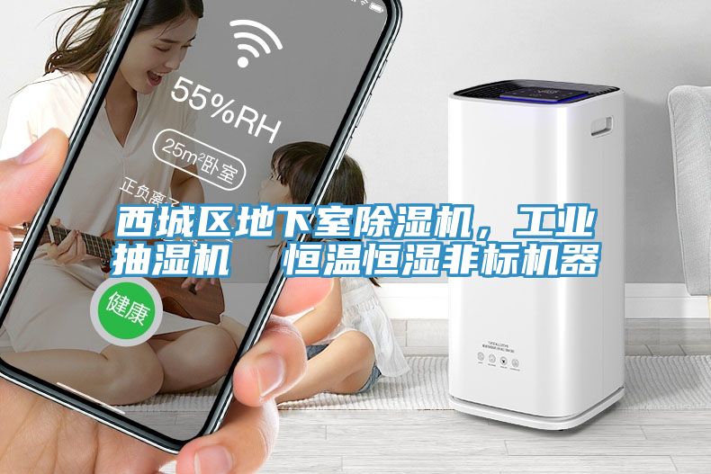 西城區地下室榴莲视频官网APP，工業抽濕機  恒溫恒濕非標機器