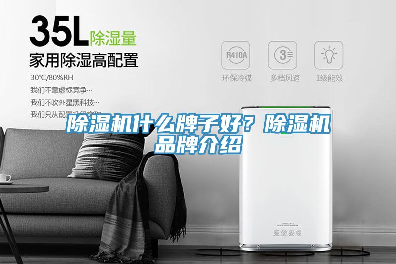 榴莲视频官网APP什麽牌子好？榴莲视频官网APP品牌介紹