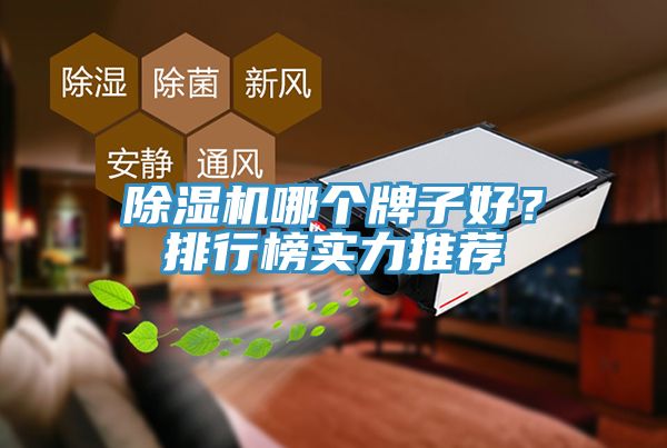 榴莲视频官网APP哪個牌子好？排行榜實力推薦