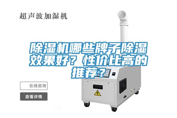 榴莲视频官网APP哪些牌子除濕效果好？性價比高的推薦？