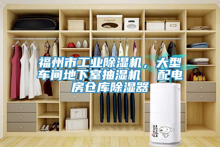 福州市工業榴莲视频官网APP，大型車間地下室抽濕機  配電房倉庫除濕器