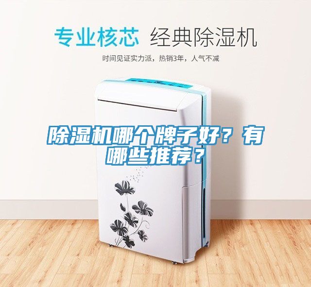 榴莲视频官网APP哪個牌子好？有哪些推薦？