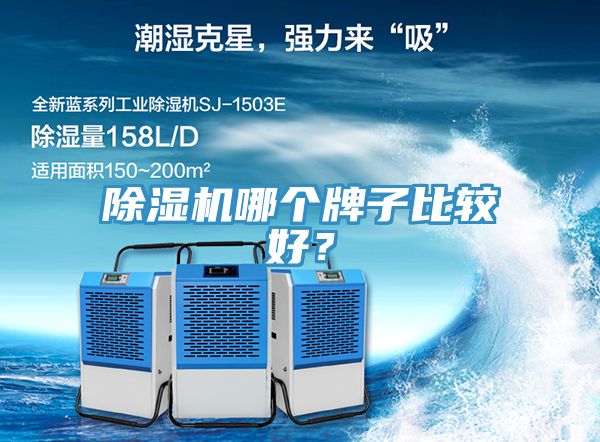 榴莲视频官网APP哪個牌子比較好？