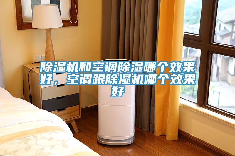 榴莲视频官网APP和空調除濕哪個效果好，空調跟榴莲视频官网APP哪個效果好
