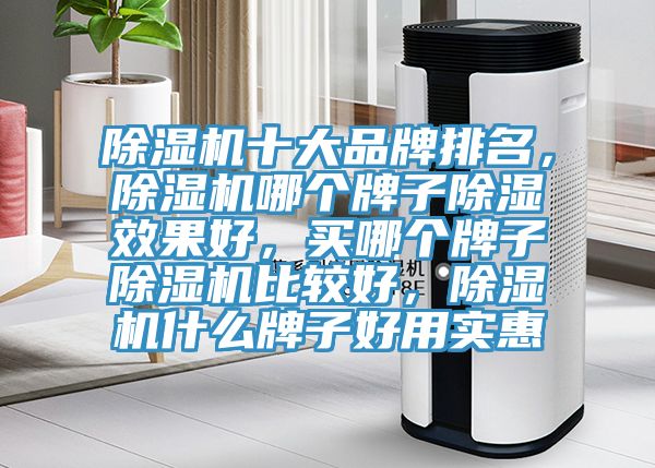 榴莲视频官网APP十大品牌排名，榴莲视频官网APP哪個牌子除濕效果好，買哪個牌子榴莲视频官网APP比較好，榴莲视频官网APP什麽牌子好用實惠