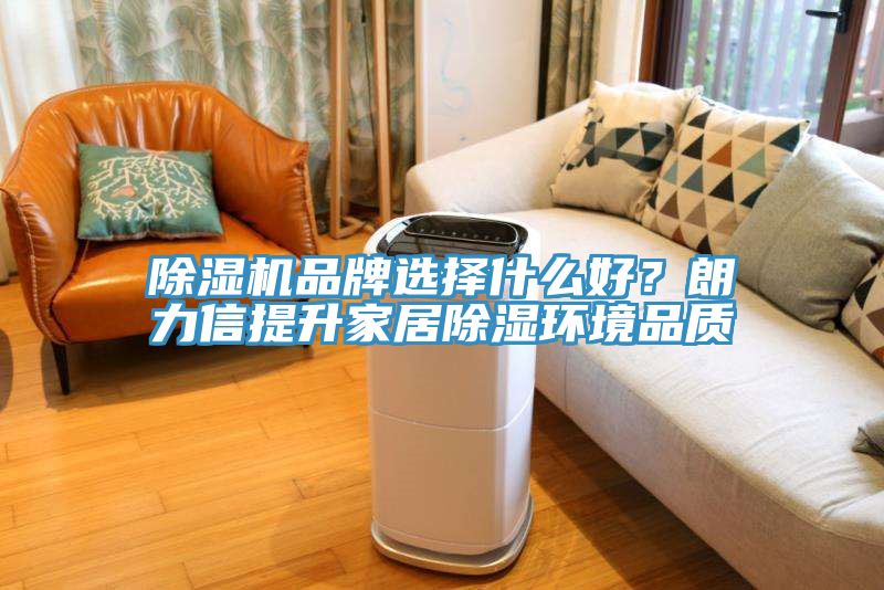 榴莲视频官网APP品牌選擇什麽好？朗力信提升家居除濕環境品質