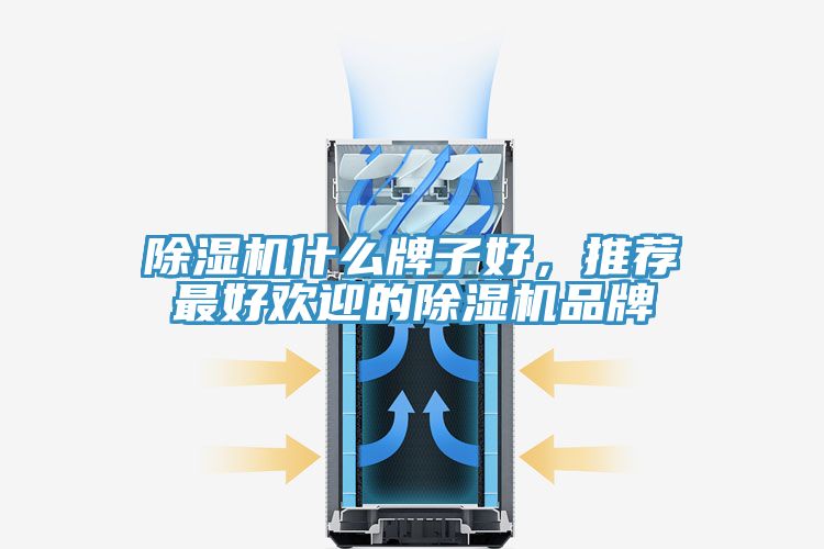 榴莲视频官网APP什麽牌子好，推薦最好歡迎的榴莲视频官网APP品牌