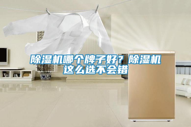 榴莲视频官网APP哪個牌子好？榴莲视频官网APP這麽選不會錯