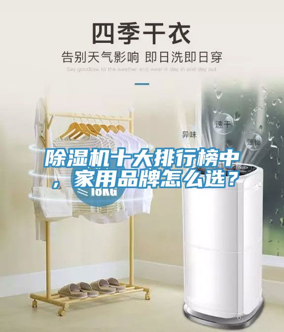 榴莲视频官网APP十大排行榜中，家用品牌怎麽選？