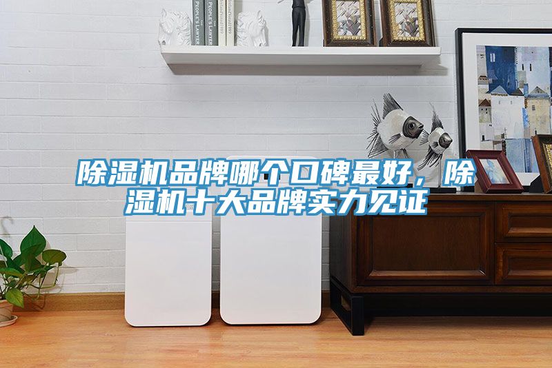 榴莲视频官网APP品牌哪個口碑最好，榴莲视频官网APP十大品牌實力見證