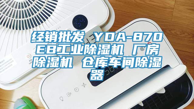 經銷批發 YDA-870EB工業榴莲视频官网APP 廠房榴莲视频官网APP 倉庫車間除濕器