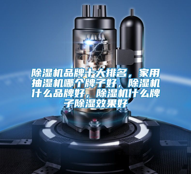 榴莲视频官网APP品牌十大排名，家用抽濕機哪個牌子好，榴莲视频官网APP什麽品牌好，榴莲视频官网APP什麽牌子除濕效果好