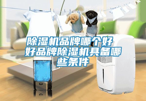榴莲视频官网APP品牌哪個好 好品牌榴莲视频官网APP具備哪些條件