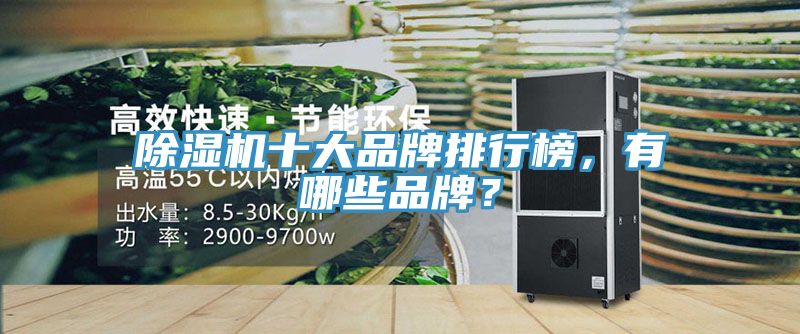 榴莲视频官网APP十大品牌排行榜，有哪些品牌？