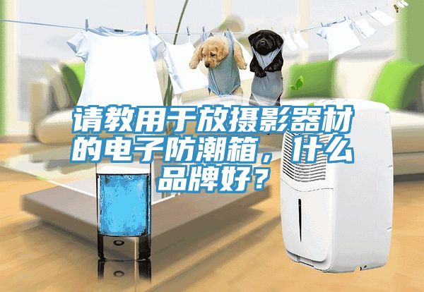 請教用於放攝影器材的電子防潮箱，什麽品牌好？