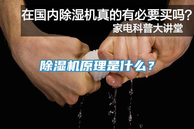 榴莲视频官网APP原理是什麽？