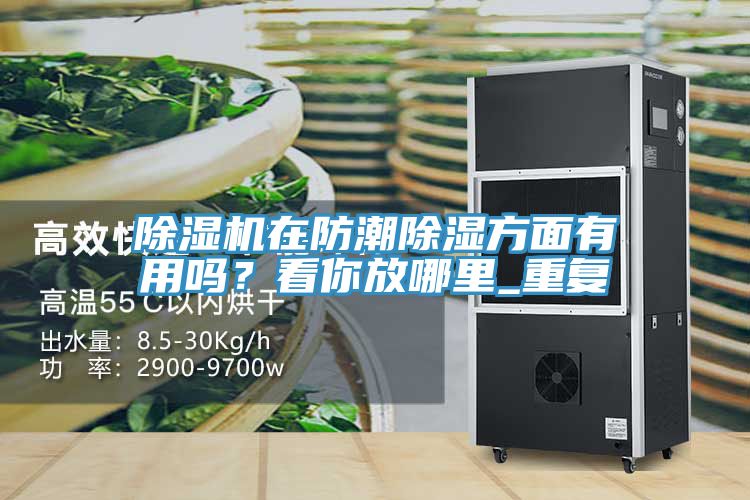 榴莲视频官网APP在防潮除濕方麵有用嗎？看你放哪裏_重複