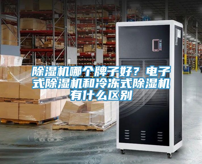 榴莲视频官网APP哪個牌子好？電子式榴莲视频官网APP和冷凍式榴莲视频官网APP有什麽區別