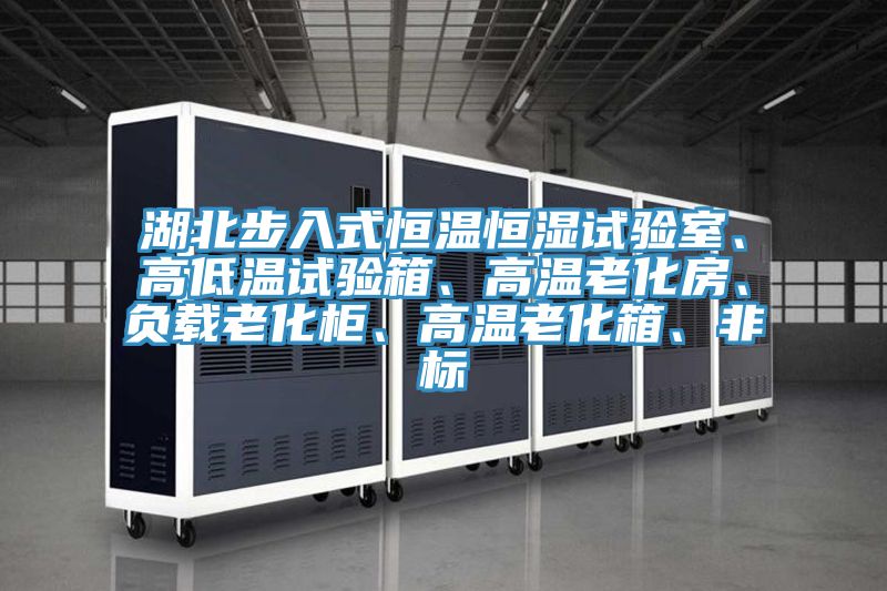湖北步入式恒溫恒濕試驗室、高低溫試驗箱、高溫老化房、負載老化櫃、高溫老化箱、非標
