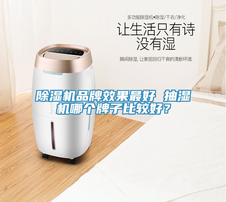 榴莲视频官网APP品牌效果最好 抽濕機哪個牌子比較好？