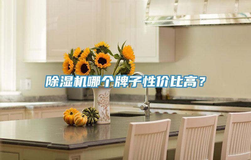 榴莲视频官网APP哪個牌子性價比高？