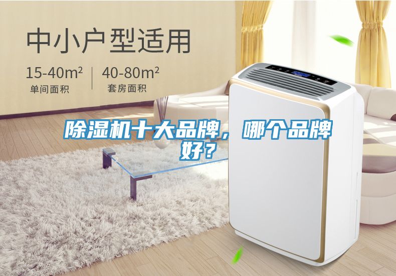榴莲视频官网APP十大品牌，哪個品牌好？
