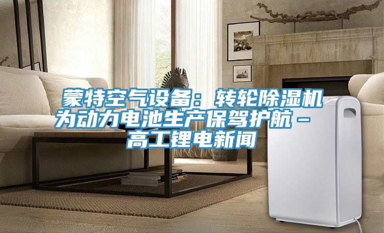 蒙特空氣設備：轉輪榴莲视频官网APP為動力電池生產保駕護航– 高工鋰電新聞