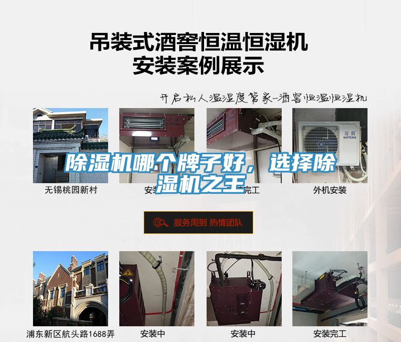 榴莲视频官网APP哪個牌子好，選擇榴莲视频官网APP之王