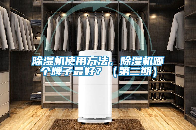 榴莲视频官网APP使用方法，榴莲视频官网APP哪個牌子最好？（第二期）