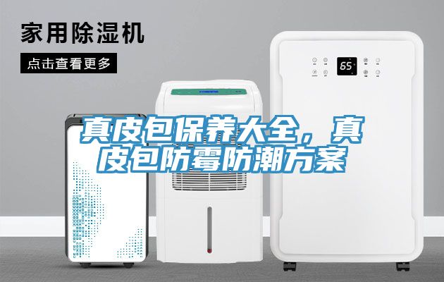 真皮包保養大全，真皮包防黴防潮方案