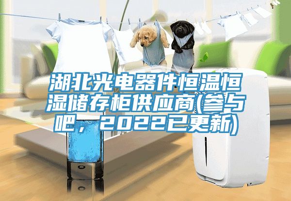 湖北光電器件恒溫恒濕儲存櫃供應商(參與吧，2022已更新)