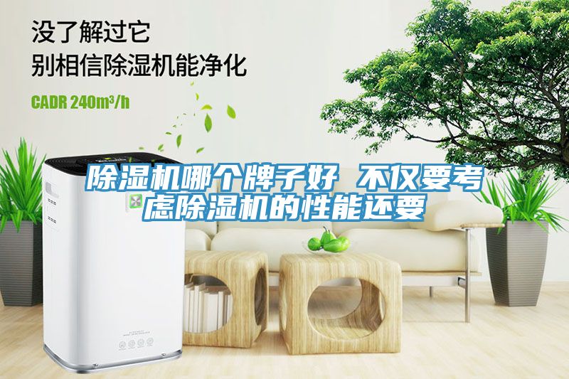 榴莲视频官网APP哪個牌子好 不僅要考慮榴莲视频官网APP的性能還要