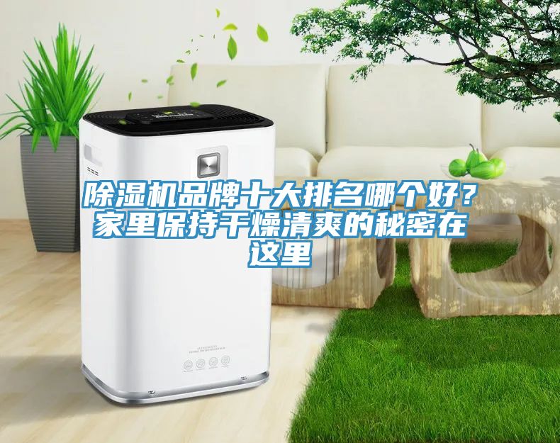 榴莲视频官网APP品牌十大排名哪個好？家裏保持幹燥清爽的秘密在這裏