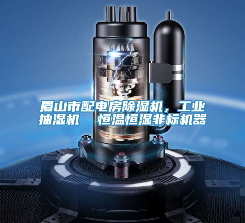 眉山市配電房榴莲视频官网APP，工業抽濕機  恒溫恒濕非標機器