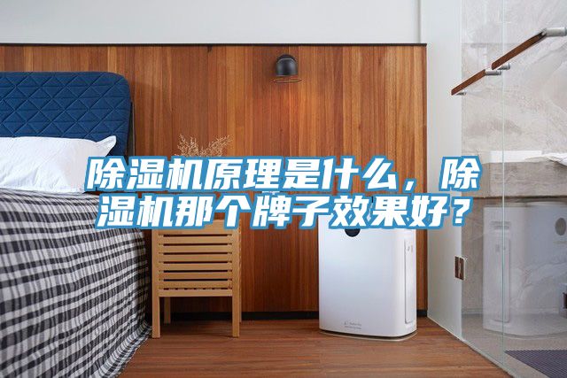 榴莲视频官网APP原理是什麽，榴莲视频官网APP那個牌子效果好？