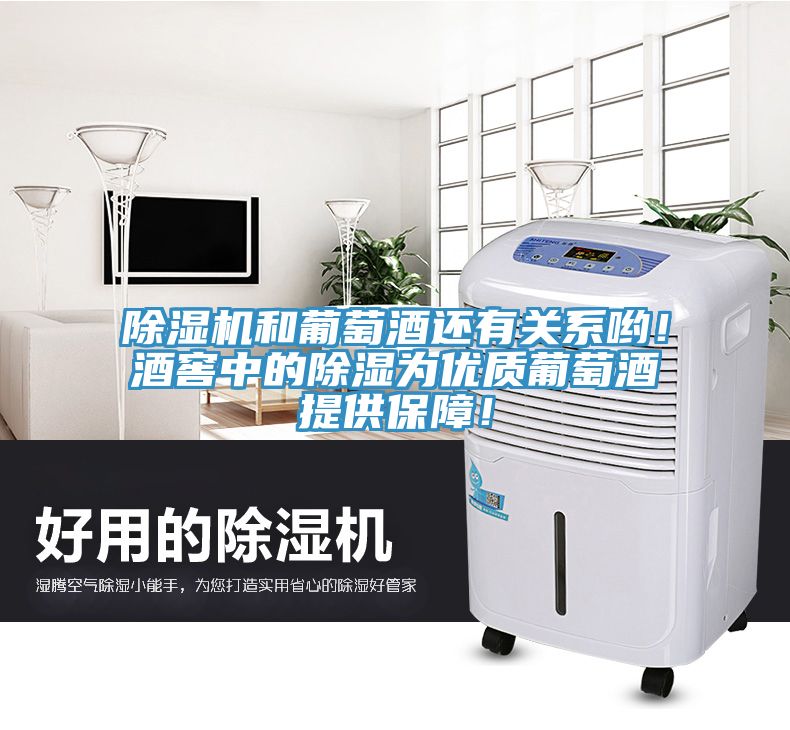 榴莲视频官网APP和葡萄酒還有關係喲！酒窖中的除濕為優質葡萄酒提供保障！