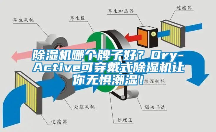 榴莲视频官网APP哪個牌子好？Dry-Active可穿戴式榴莲视频官网APP讓你無懼潮濕！