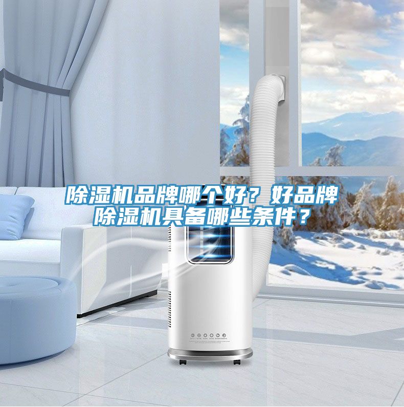 榴莲视频官网APP品牌哪個好？好品牌榴莲视频官网APP具備哪些條件？