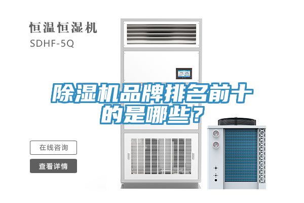 榴莲视频官网APP品牌排名前十的是哪些？